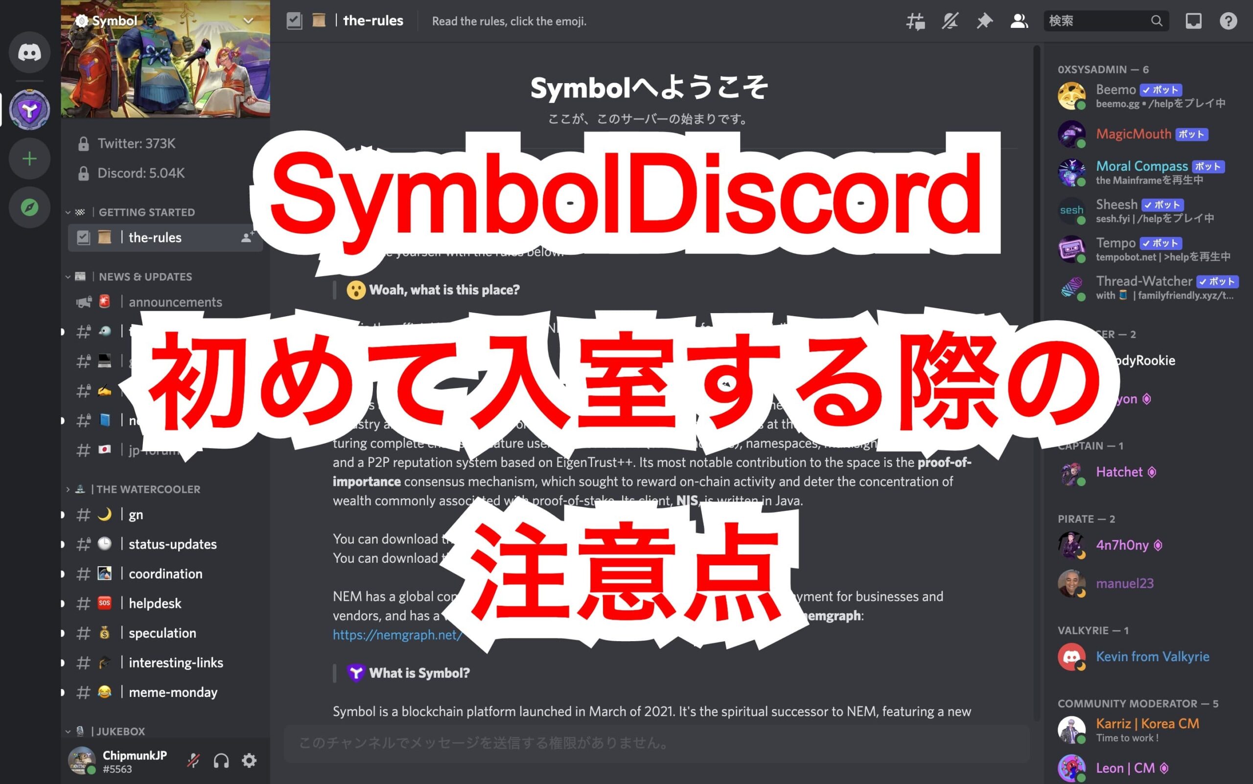 シンボル ネムの公式discordにログインする方法 注意点 Nemedia